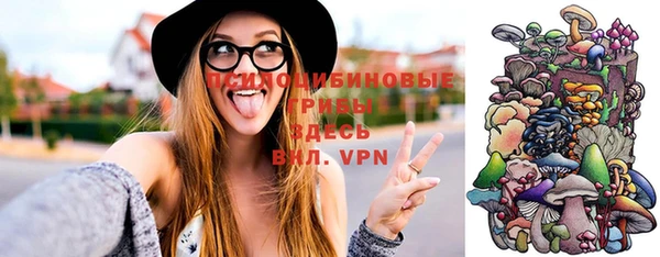 ГАЛЛЮЦИНОГЕННЫЕ ГРИБЫ Арсеньев